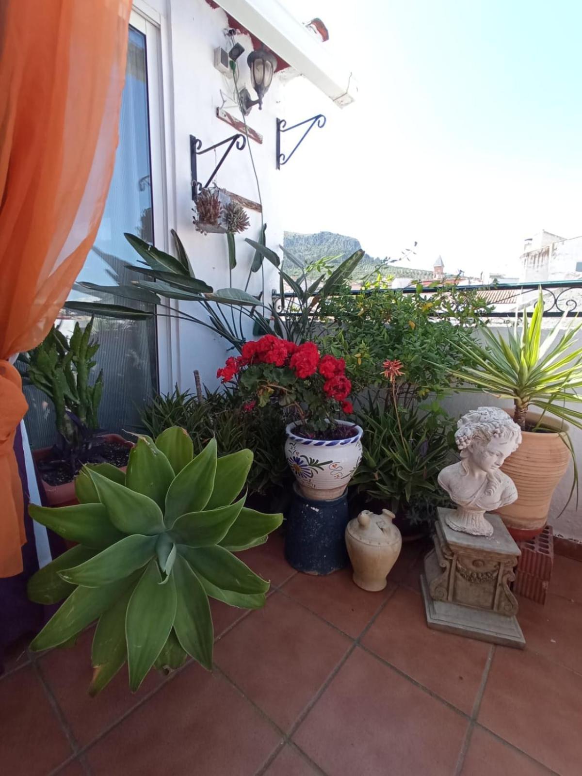 Hostal R-Conecta Cuevas De San Marcos 외부 사진